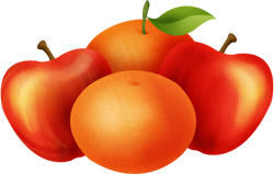 фрукты