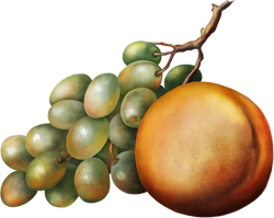 виноград, персик
