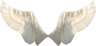 крылья ангелов