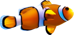 рыба-клоун