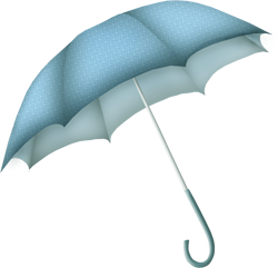 зонты