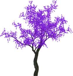 purple trees