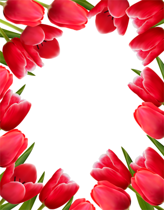рамки из тюльпанов