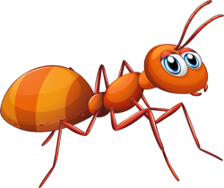 муравьишки