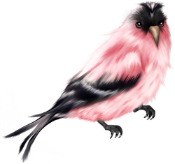 розовая птичка