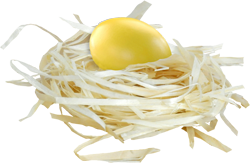 гнезда с яйцами