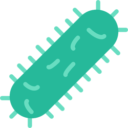 бактерия