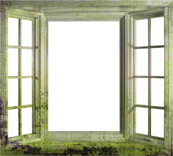 зеленое окно