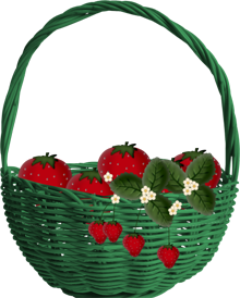 strawberry basket