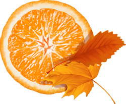апельсины