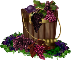 виноград в таре