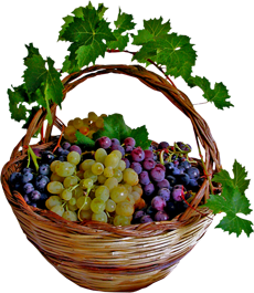 виноград в таре
