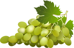 зеленый виноград
