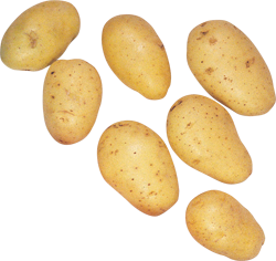 картофан