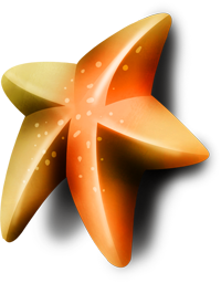 оранжевые морские звезды