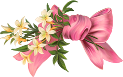 розовый бант