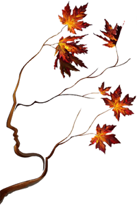 осенние кленовые листья
