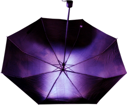 фиолетовые зонтики