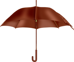 brown umbrella