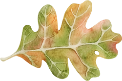 осенний дубовый лист