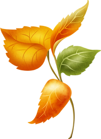 ветки с осенними листьями