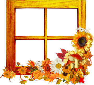 осень, окна
