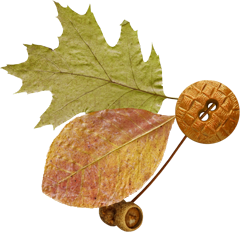 осенние листья