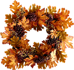 осенние листья