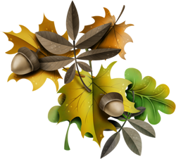 осенние листья