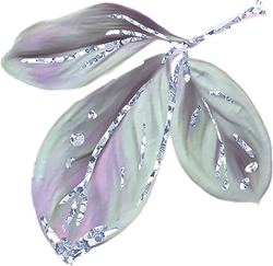 осенний лист