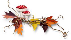 осенние листья