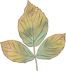 осенний лист