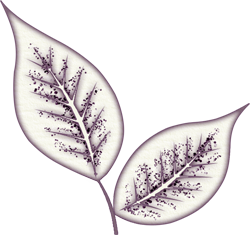 осенний лист