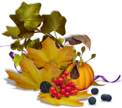 осенние листья