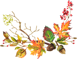 осенние листья