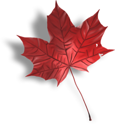 кленовый лист