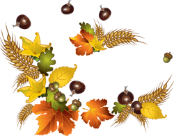 осенние листья