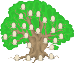фамильное дерево