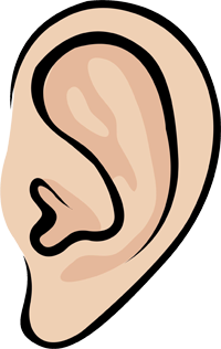 уши