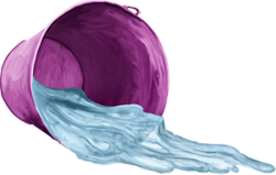 разлитое ведро