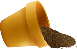 цветочный горшок