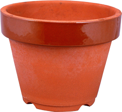 цветочный горшок