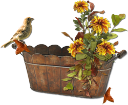 корзина с цветами