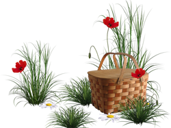 корзина с цветами