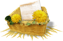 корзина с цветами