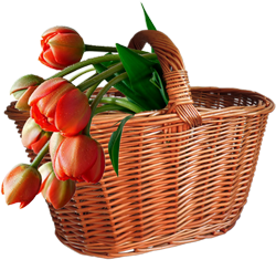 корзина с цветами
