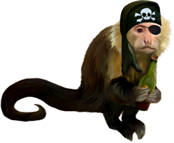 пиратская обезьянка