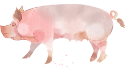 свинка