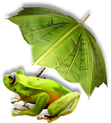 лягушонок с зонтиком