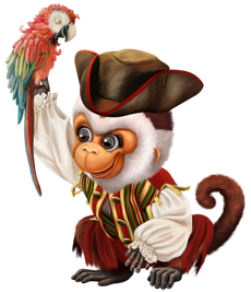 the pirate monkey